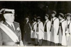 juncarejo_19_20121208_1950633320